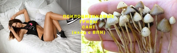 COCAINE Михайлов