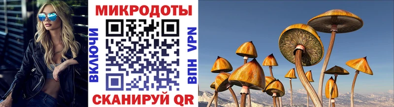 Галлюциногенные грибы MAGIC MUSHROOMS  наркошоп  Лукоянов 